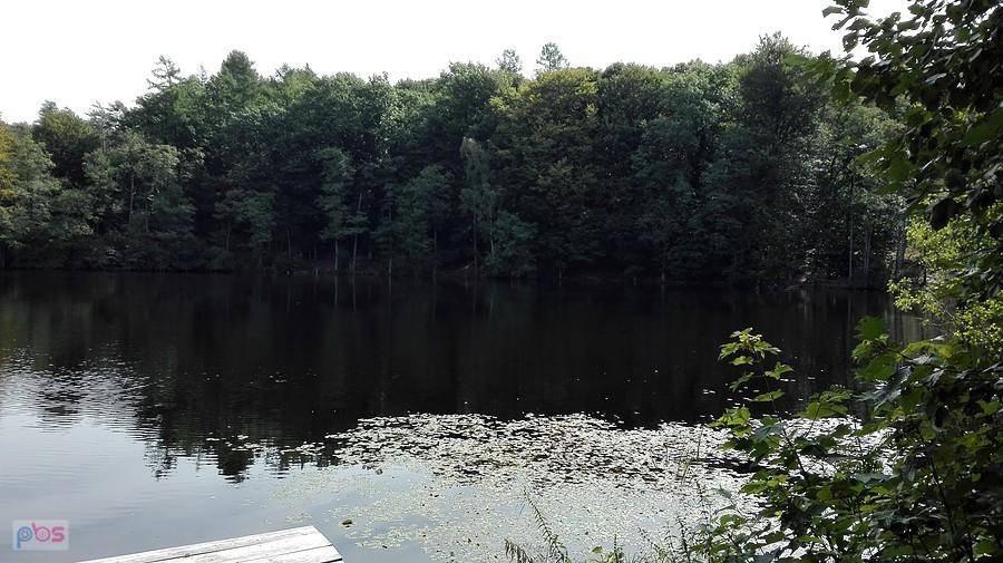 Obszar Natura 2000 Ostoja Masłowiczki