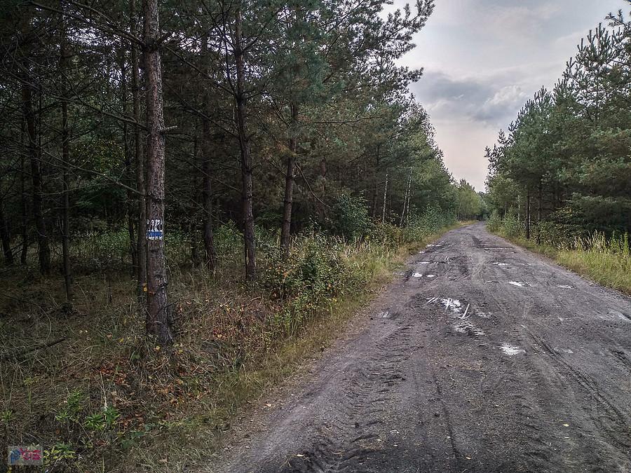 Na starej hałdzie w Makoszowach