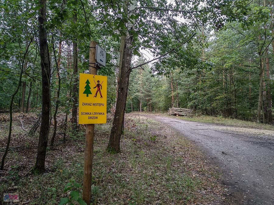 Wchodzić nie można, a jechać?