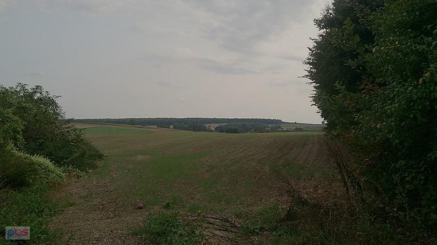 Tutaj złapałem dziurę w dętce