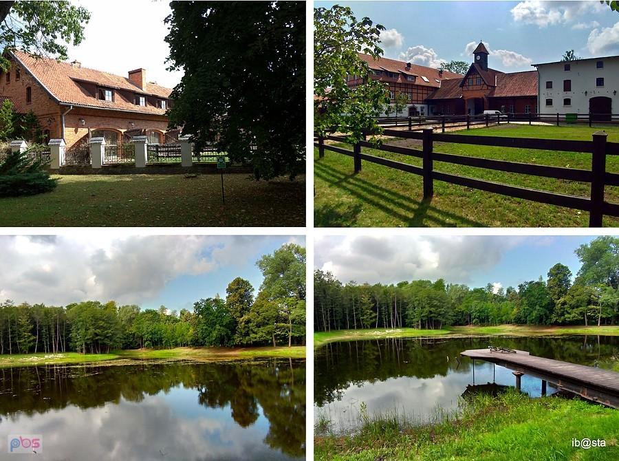 Ciekocinko - park i stadnina