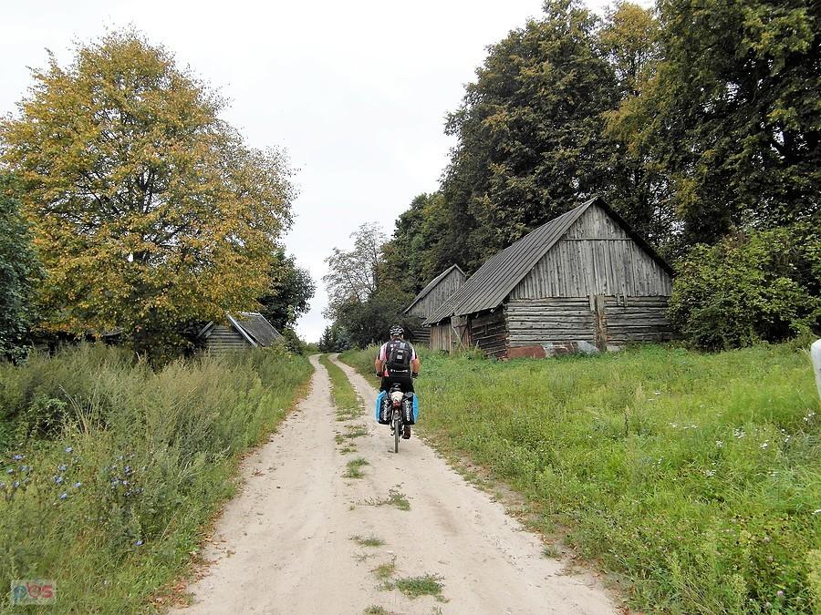 Klimat Krynek