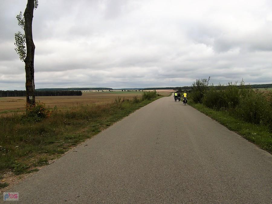 Rowerzyści na drodze w Podlasiu