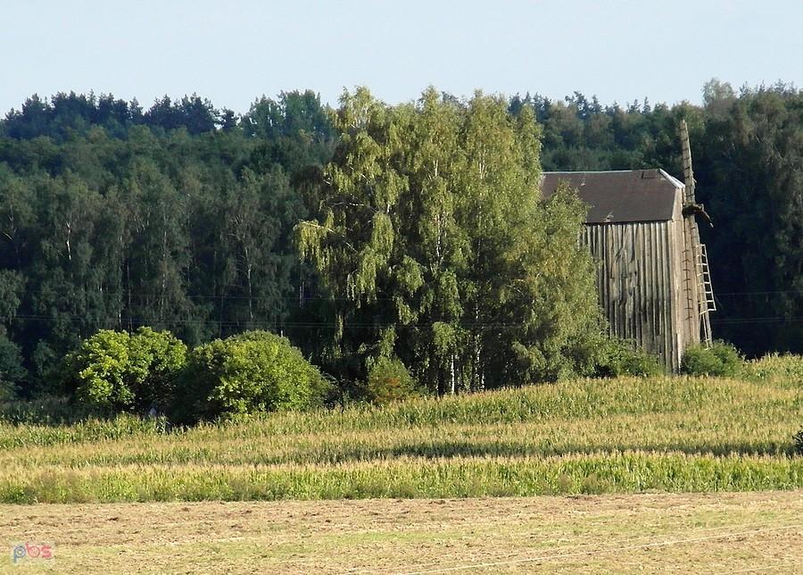Klimat Podlasia