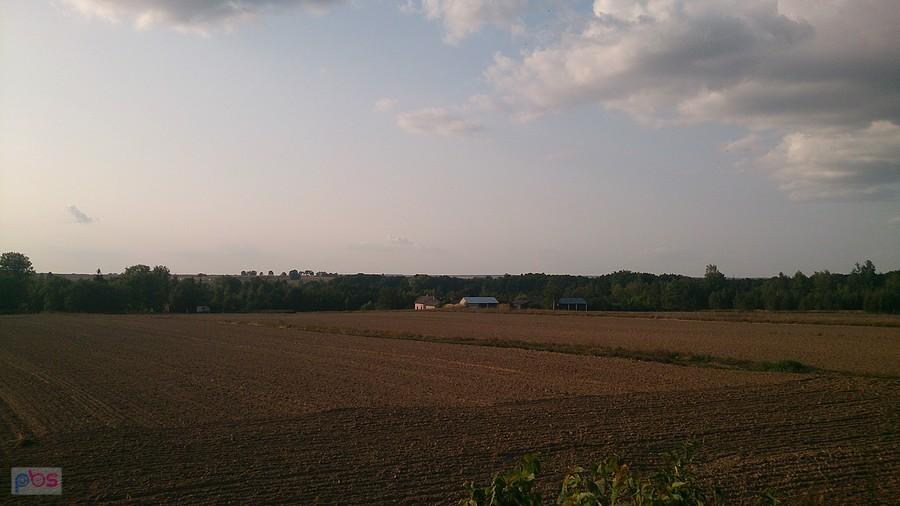 Pola w okolicach Krężnicy