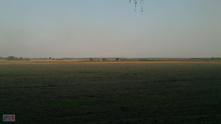 Bezkresne pola