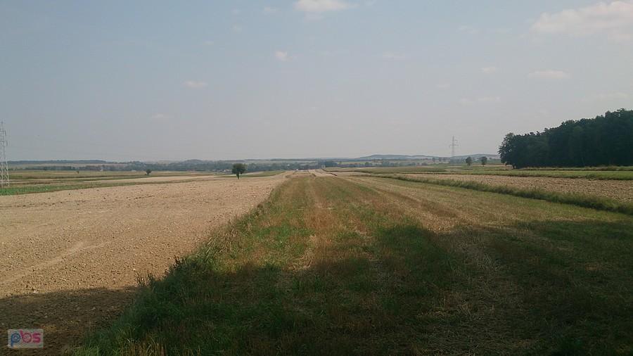 Pola koło Pawłówka