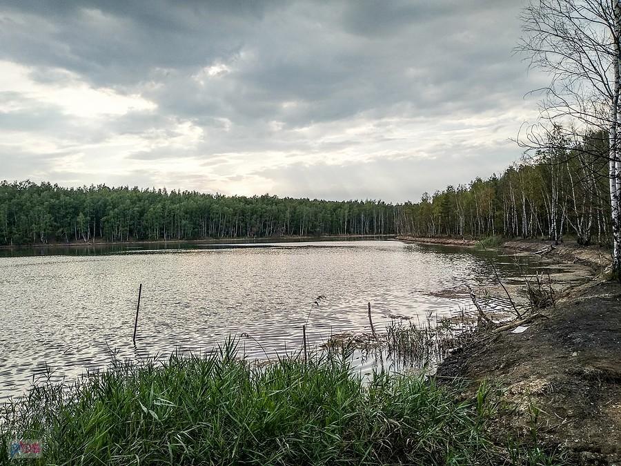 Staw przy hałdzie