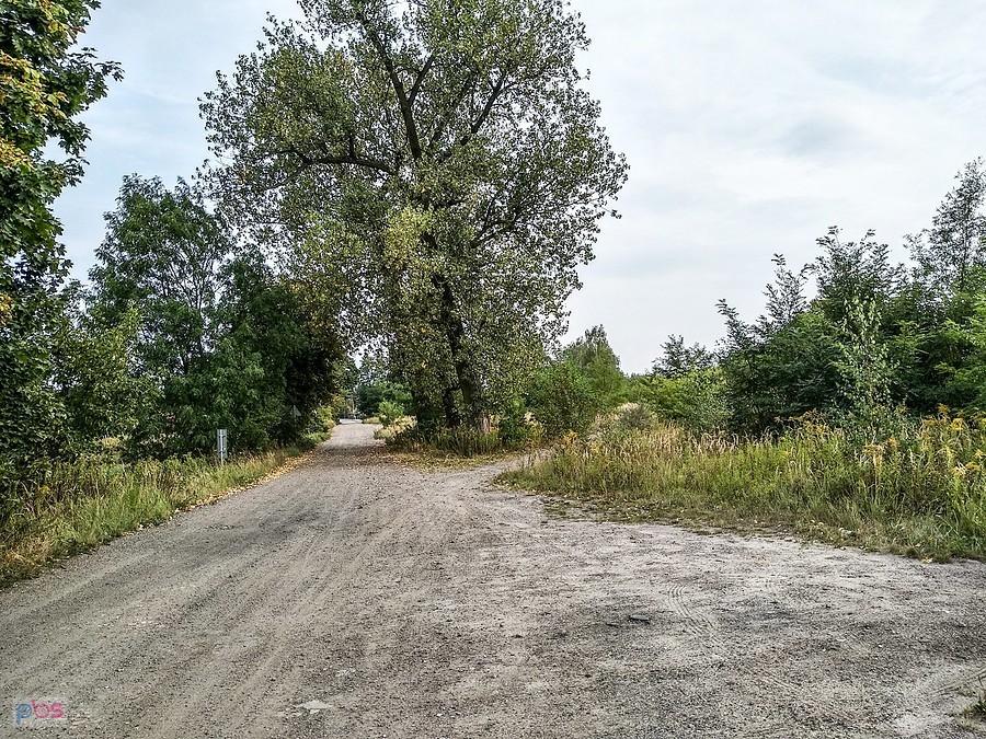 Droga na Makoszowy