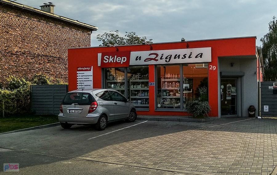 U Zigusia na Halembie