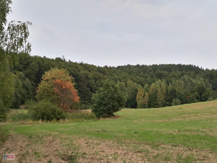 Pojawiają się jesienne barwy