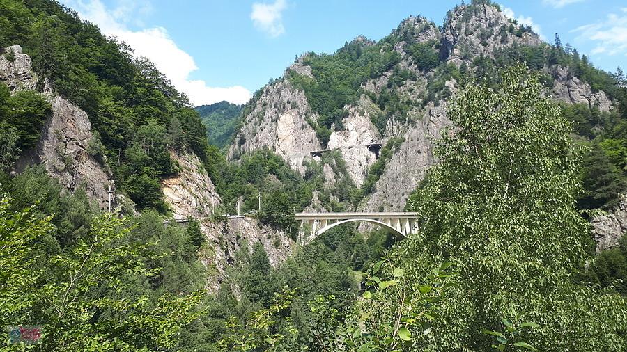 Transfogaraska