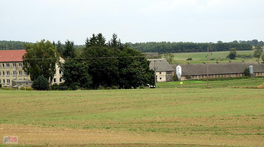Fragment miejscowości Pampow - widok z wieży widokowej.