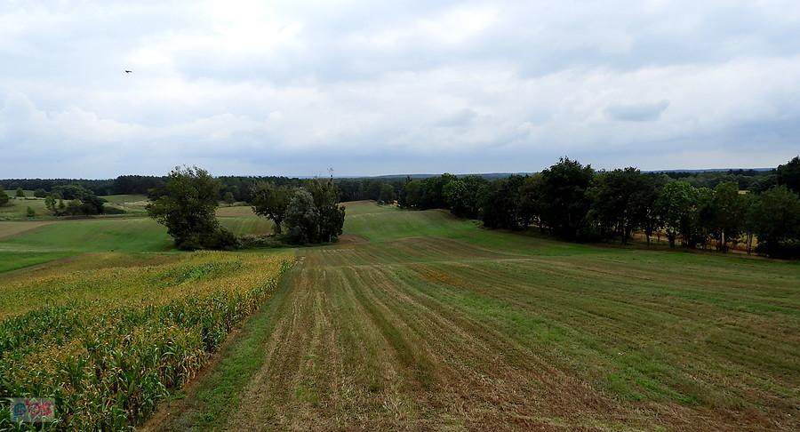 Rozległe pola między Pampow a Blankensee.