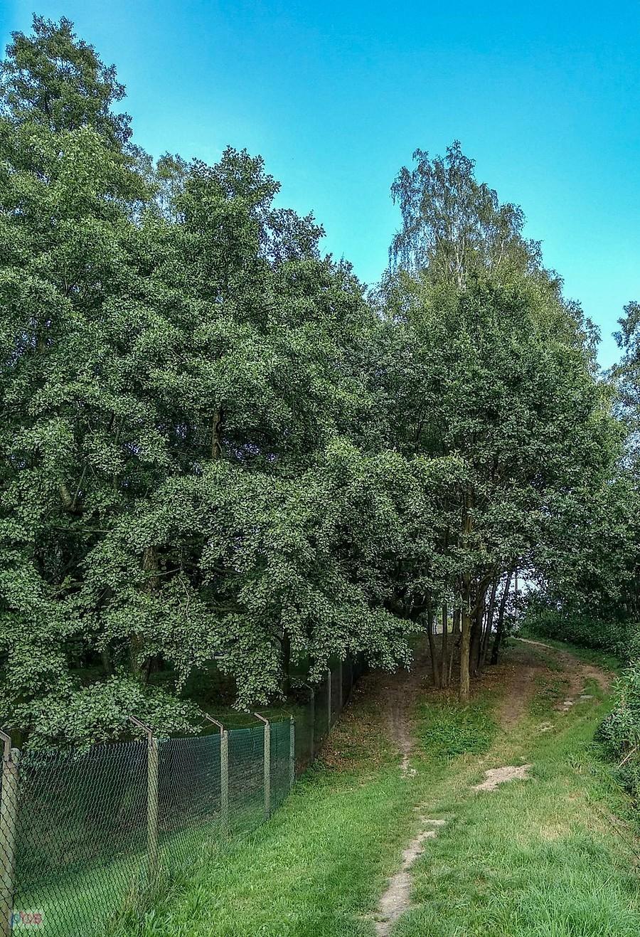 Teraz pod górkę