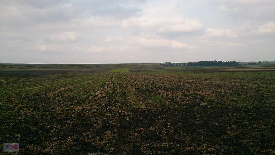 Jesienne pola koło Wieprzca