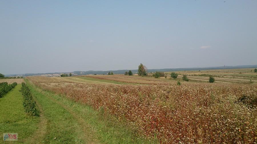 Pofałdowane pola Roztocza
