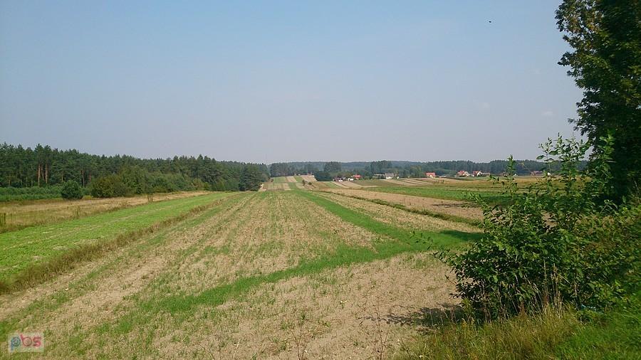 Roztoczańskie pola