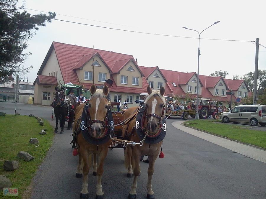 Trzanowice - dożynki