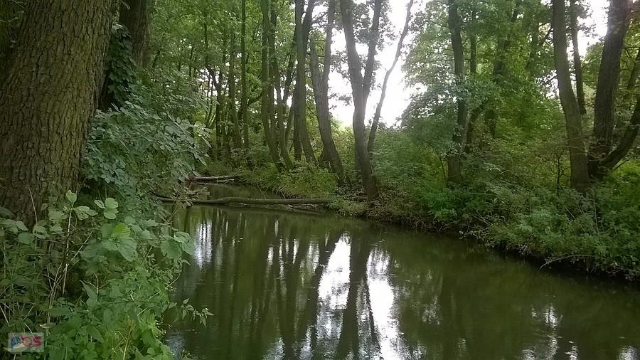 Dzika Warta a wokół zakłady przemysłowe