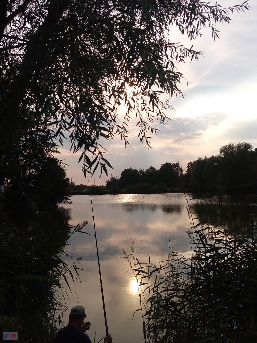Staw w Zielonkach