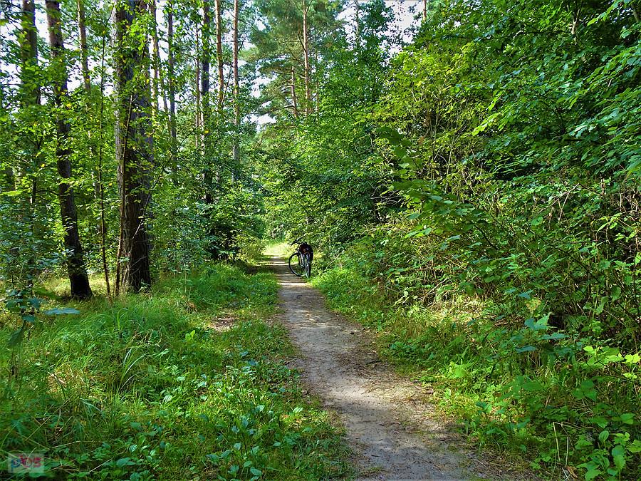 Rundka na rowerze - okolice Tczewa.