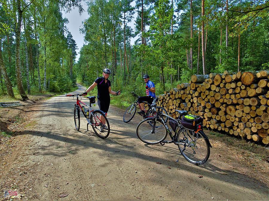 Rundka na rowerze - okolice Tczewa. W lesie spotkałem znajomych z TGR.