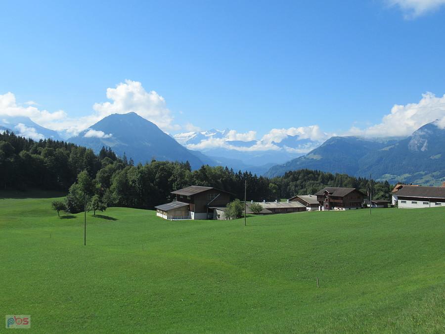 Lodowce Grindelwadu