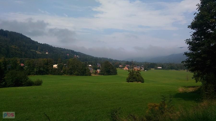 Morwvka