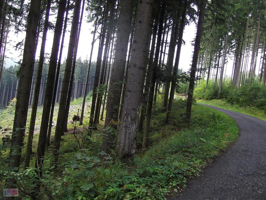 Kilka podjazdów