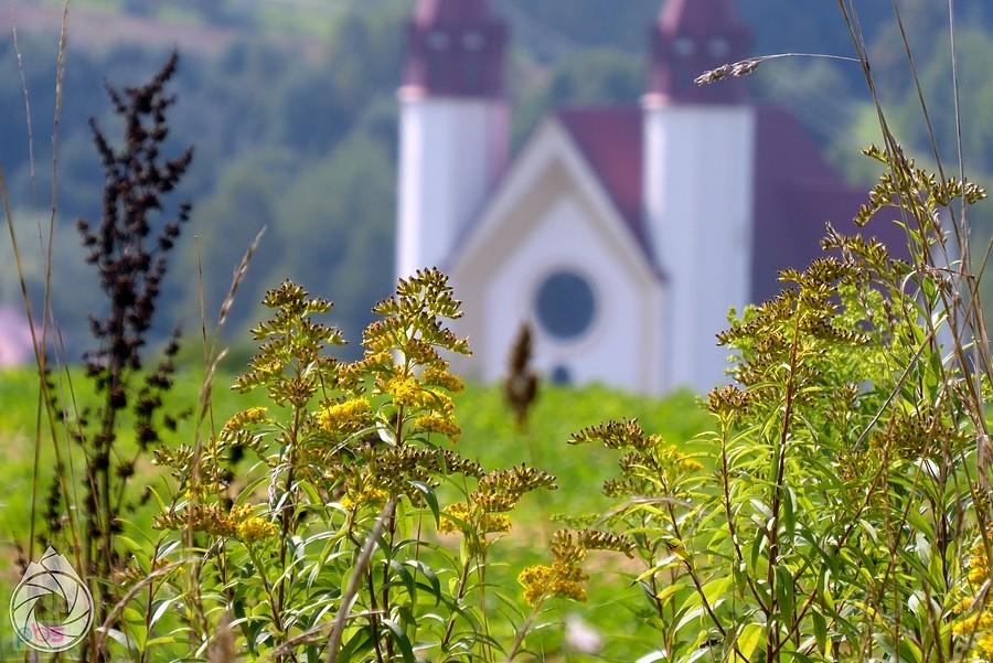 kolory końca lata nad Czermną