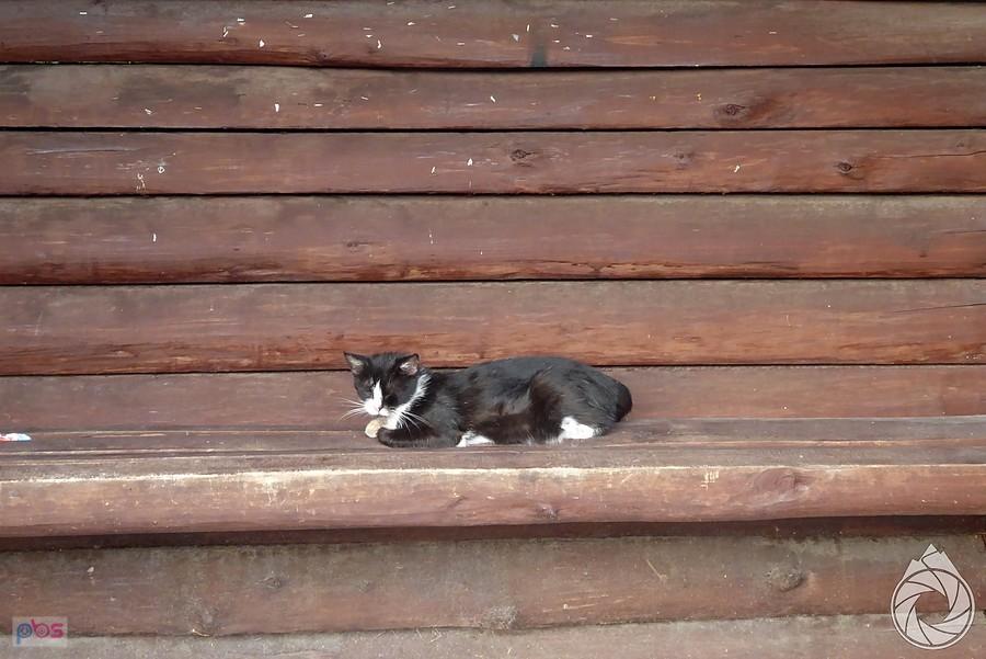 na Podkarpaciu przystanki są pozajmowane