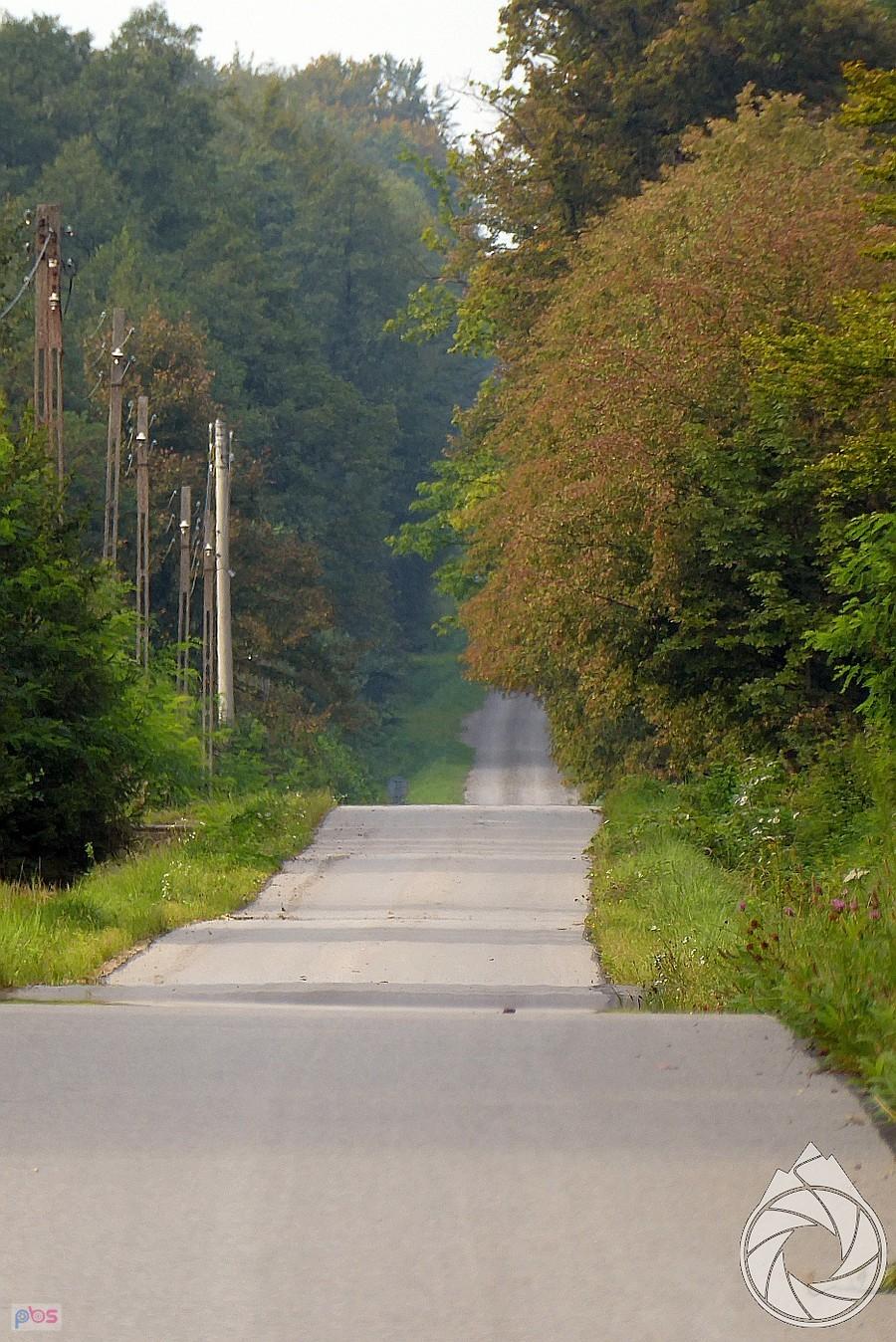 lekko pofalowana droga na Cholewianą Górę