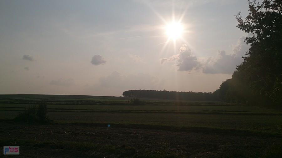 Zachodzące Słońce nad lasem