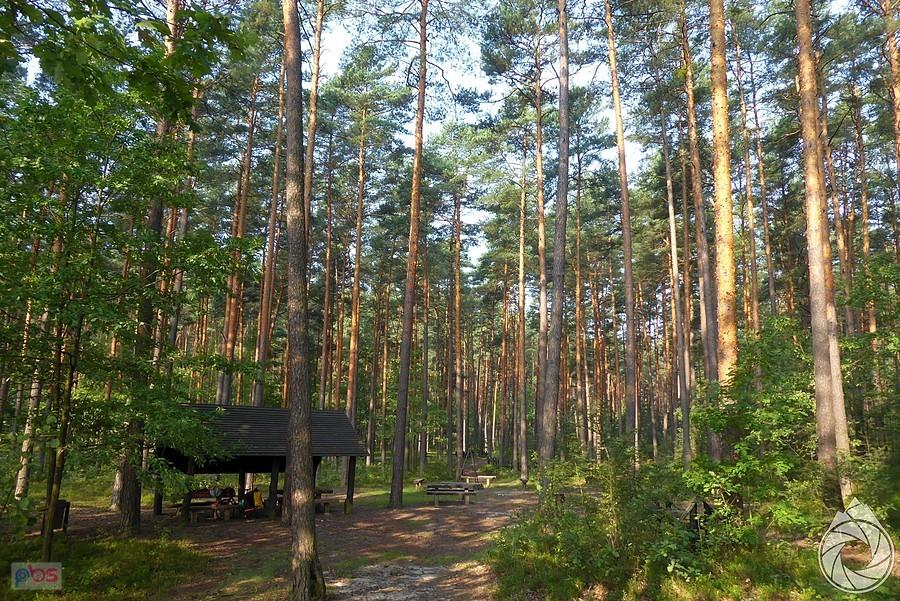 pola biwakowe nad jeziorem