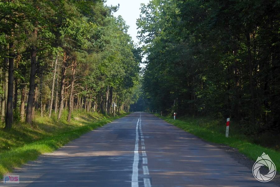Sieniawski asfalt jest trochę nierówny