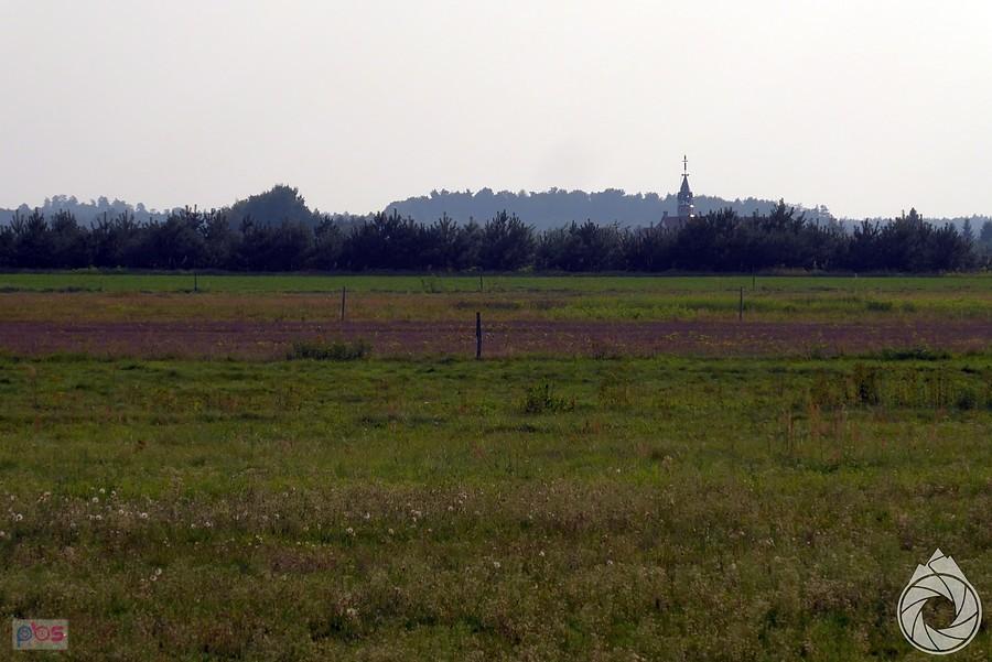 pola pod granicą PL-UK, okolice Krowicy