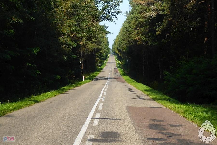 lekko wyboiste proste w stronę Sieniawy