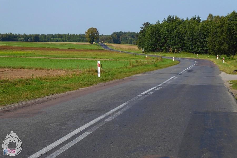 jedna z niewielu górek w okolicy (Dobra)