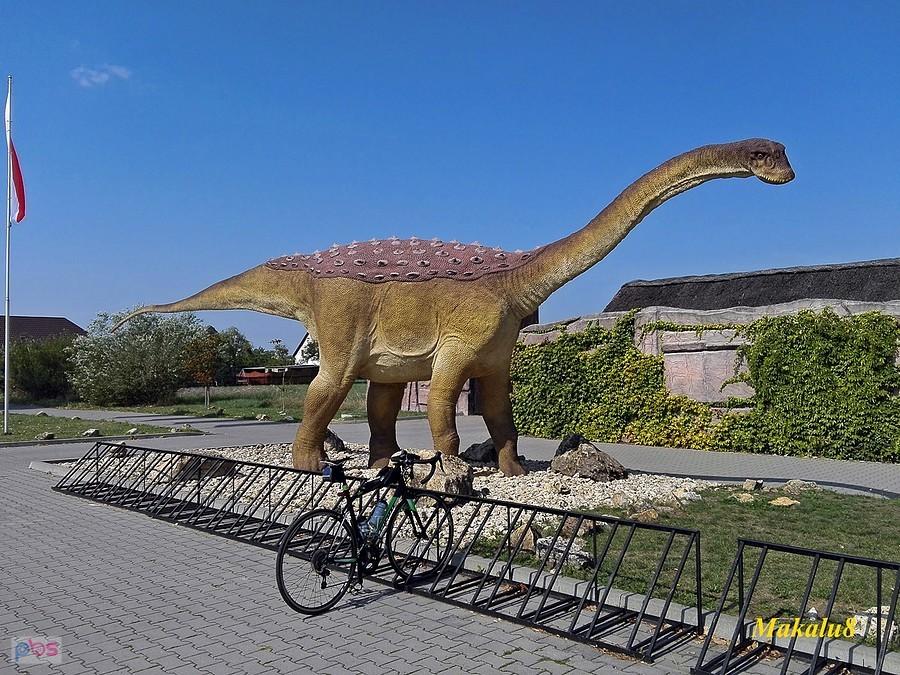 Dino się wcale nie starzeje