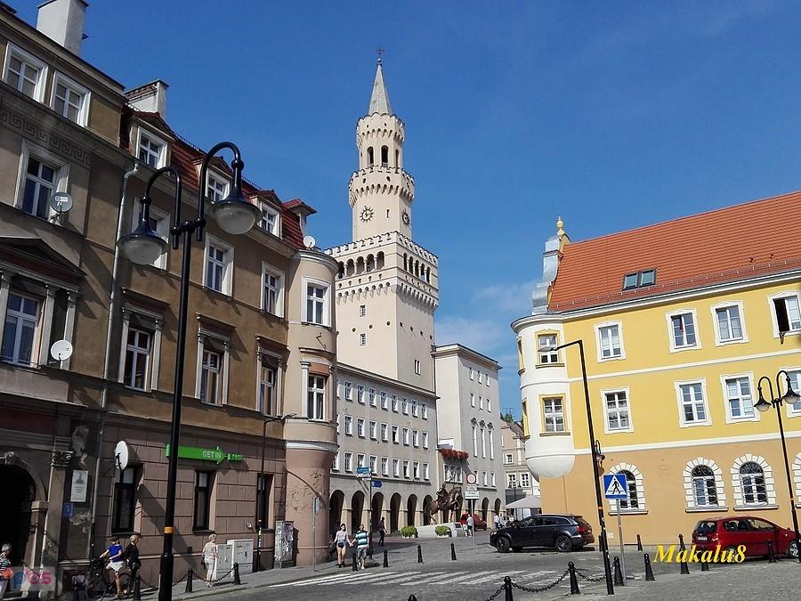 Opolski ratusz