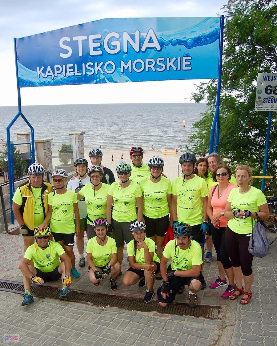 zielonkawo w Stegnie