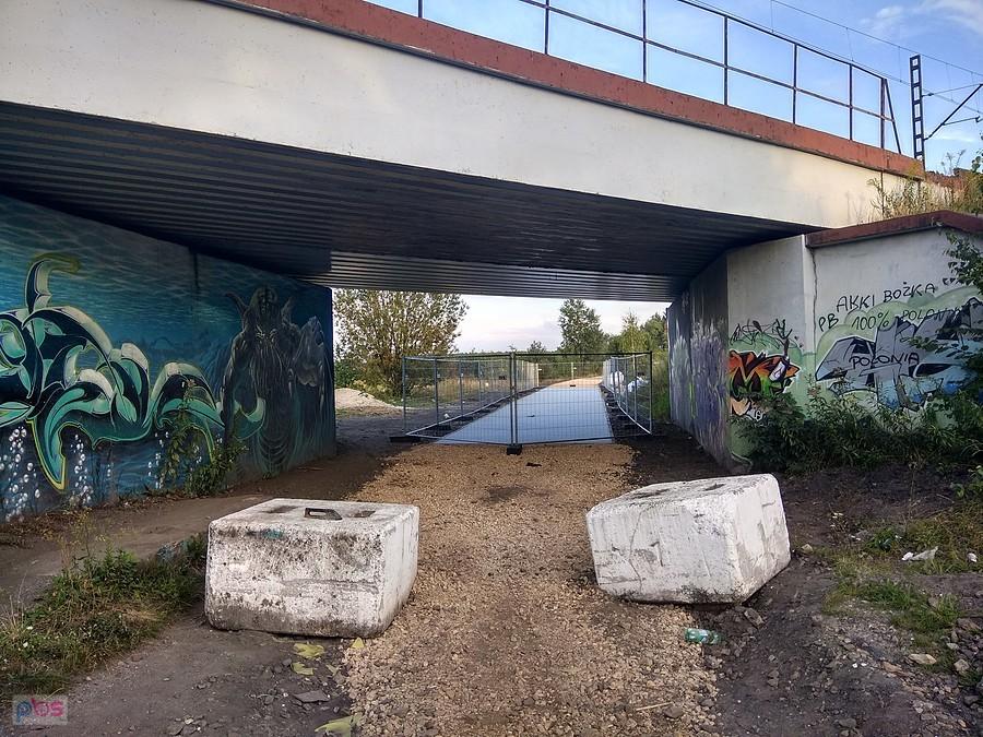 Rezerwat Żabie Doły w Bytomiu/Chorzowie