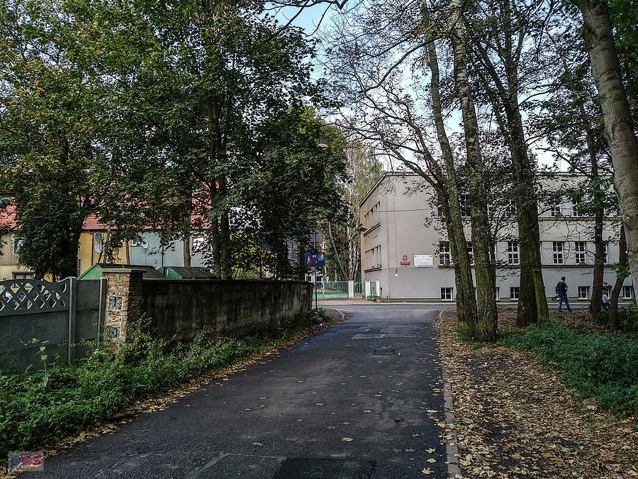 W Zabrzu przy lasku Makoszowskim