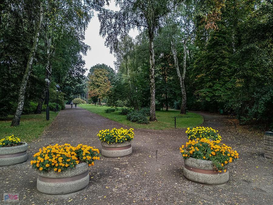 Park W Pileckiego w Zabrzu