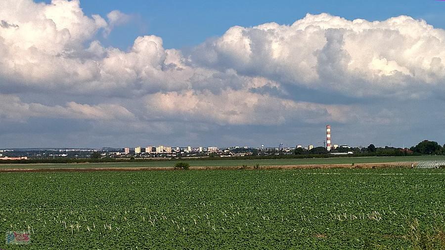 Widok z drogi Kurów - Przecław na Szczecin.