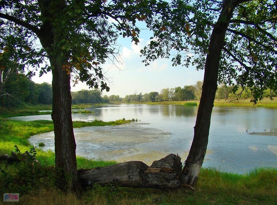 Odra przed zachodem słońca w okolicy Głogowa.
