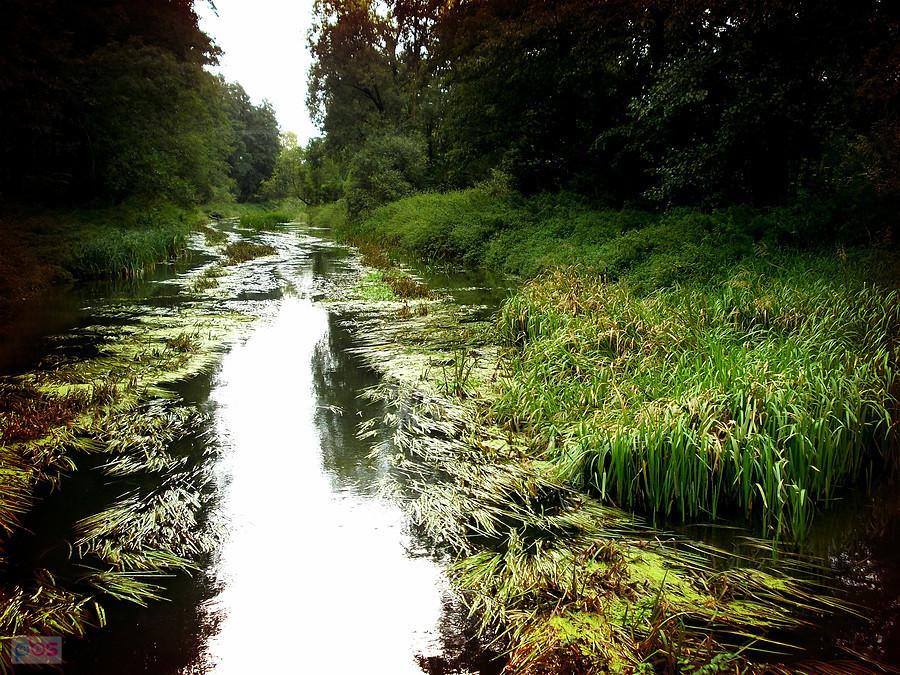 Nad rzeczką