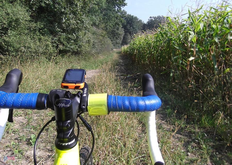 Z Kokoszyc do Rogów polnymi drogami
