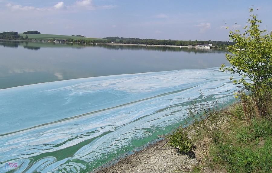 Dziś nad jeziorem całkowicie pusto,woda wygląda ohydnie